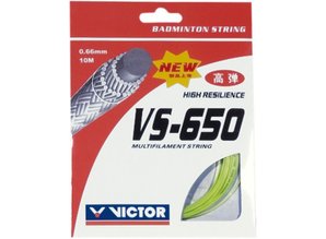 Victor Victor VS-650  w