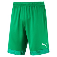 puma cup gk