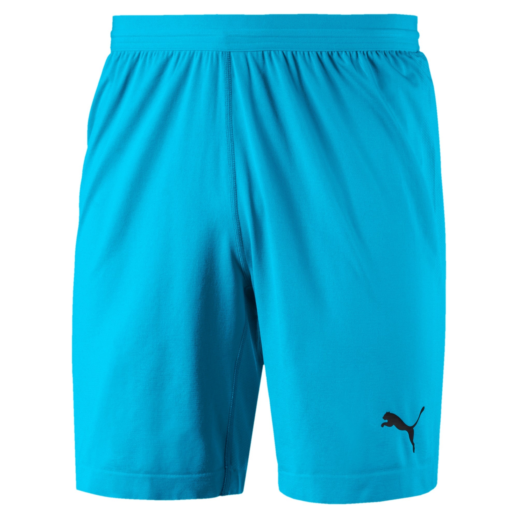 puma evoknit shorts