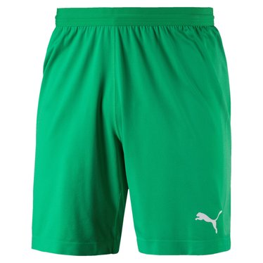 puma shorts price