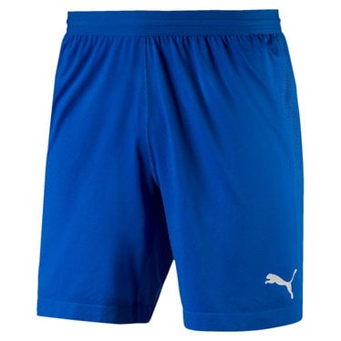 puma shorts blue
