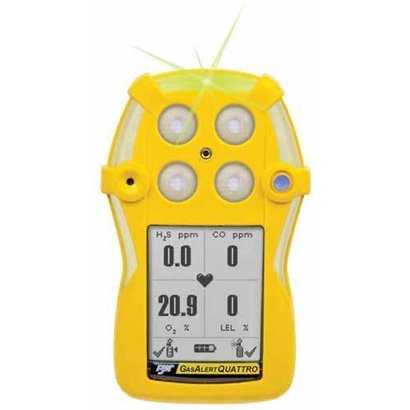 BW technologies by honeywell Quattro 4 cells
