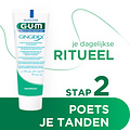 GUM Gingidex 0,06% Chloorhexidine Tandpasta | 75 ml
