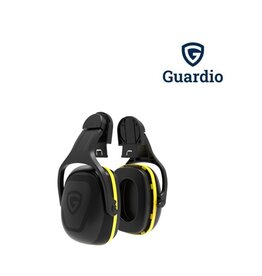 Guardio 211031