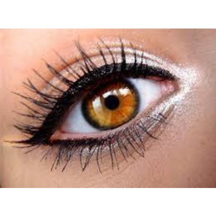 Liquid eyeliner for Sharp and Perfect line under the eyes