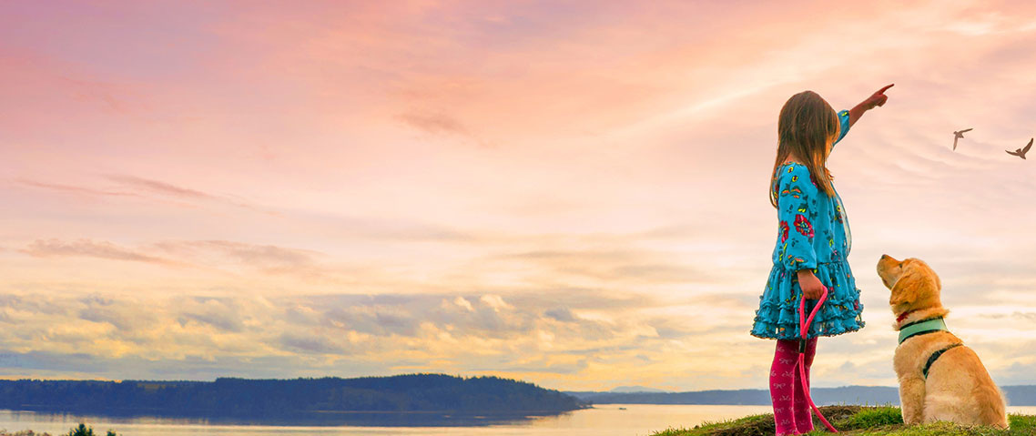 Photoshop Elements 2023 für Studium, Behörden, Gewerbe und Privat-2