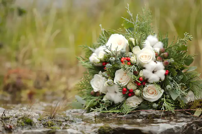 AfterShot Pro 3 für alle Einsatzbereiche-4