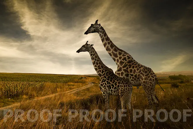 AfterShot Pro 3 für alle Einsatzbereiche-2