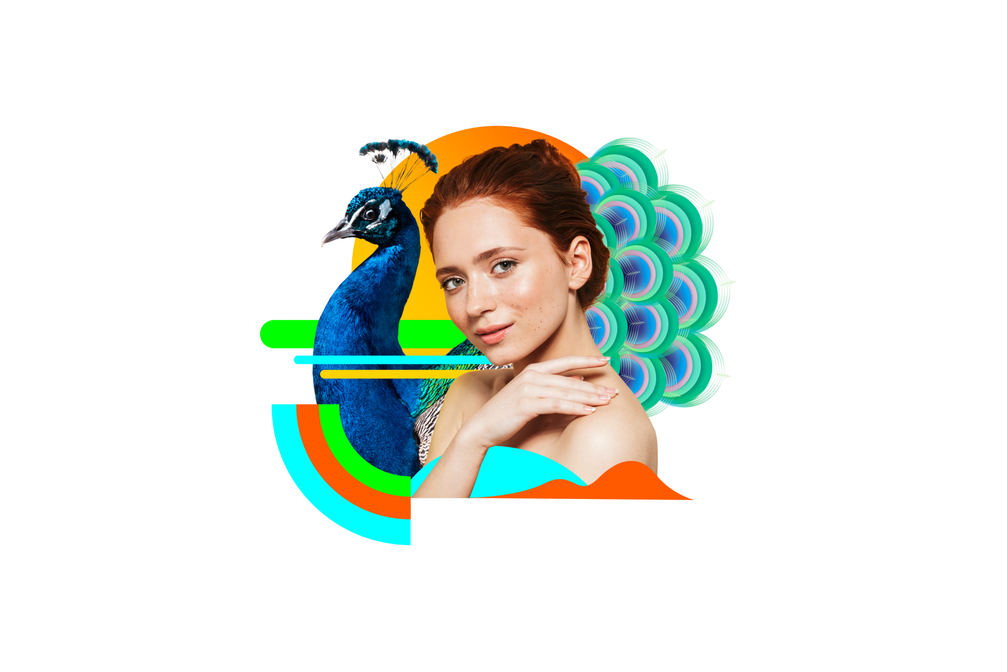 PaintShop Pro 2023 für Gemeinnutz und Behörden-1