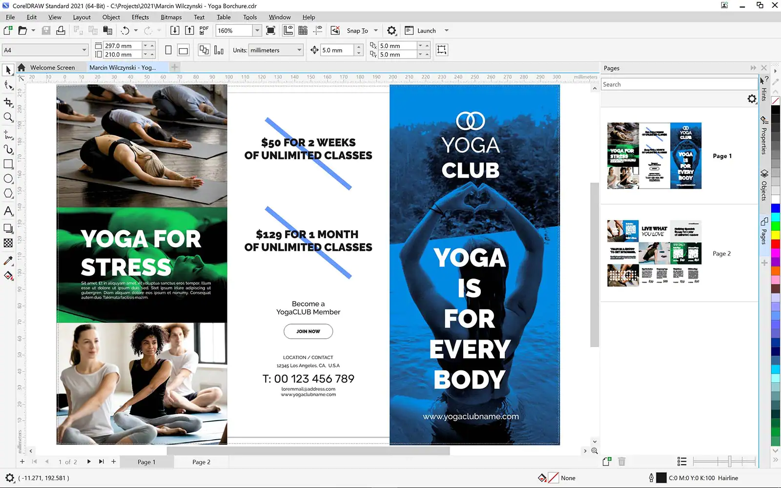 CorelDRAW Standard 2021 für alle Einsatzbereiche-2