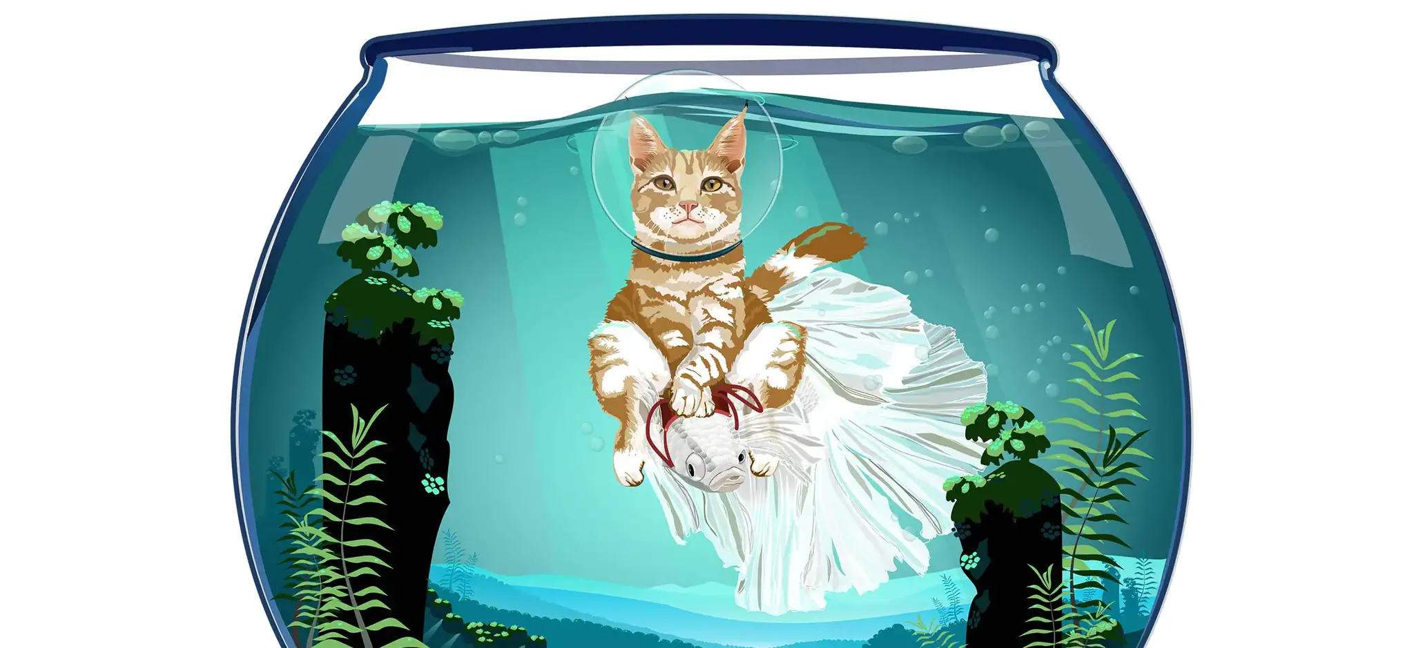 CorelDRAW Standard 2021 für alle Einsatzbereiche-3