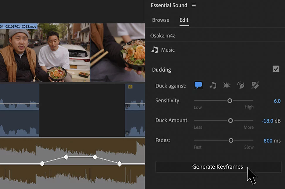 Premiere Pro für Behörden-3
