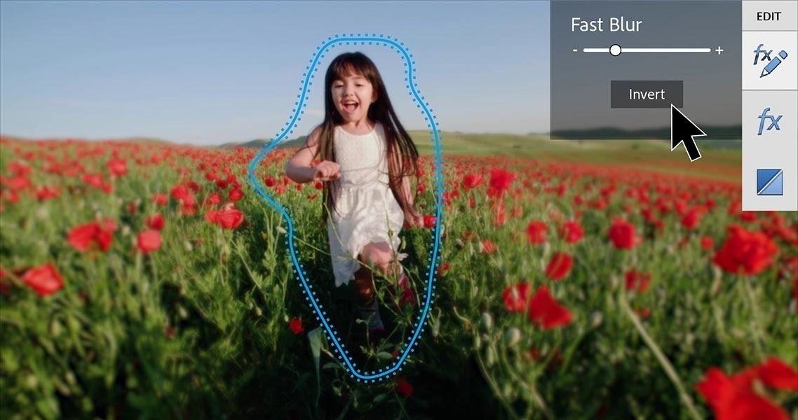 Premiere Elements 2023 für Schulen, Bildung und Gemeinnutz-3