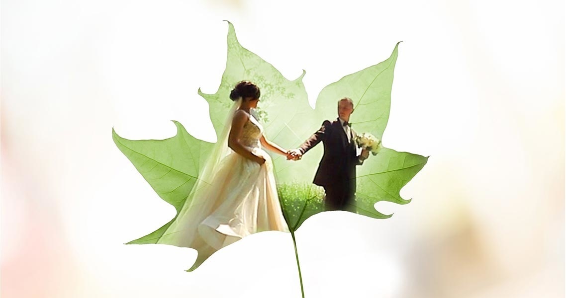 Premiere Elements 2023 für Schulen, Bildung und Gemeinnutz-4