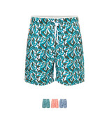 Ramatuelle Zanzibar badehose