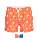 Ramatuelle Tortuga Swim shorts