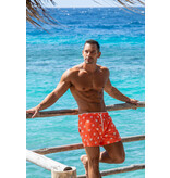 Ramatuelle Tortuga Swim shorts