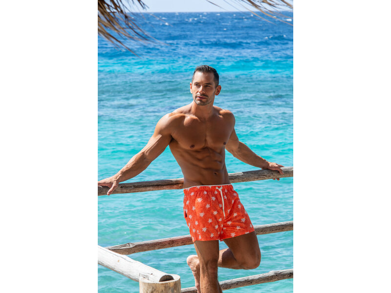 Ramatuelle Tortuga Swim shorts