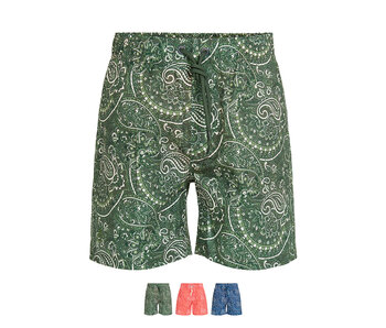 Ramatuelle Graciosa swim shorts