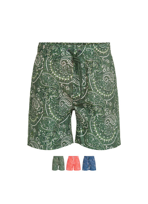 Ramatuelle Graciosa swim shorts