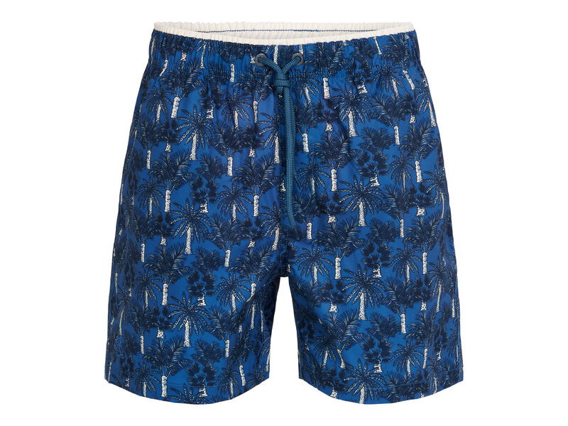 Ramatuelle Palmyra Swim shorts