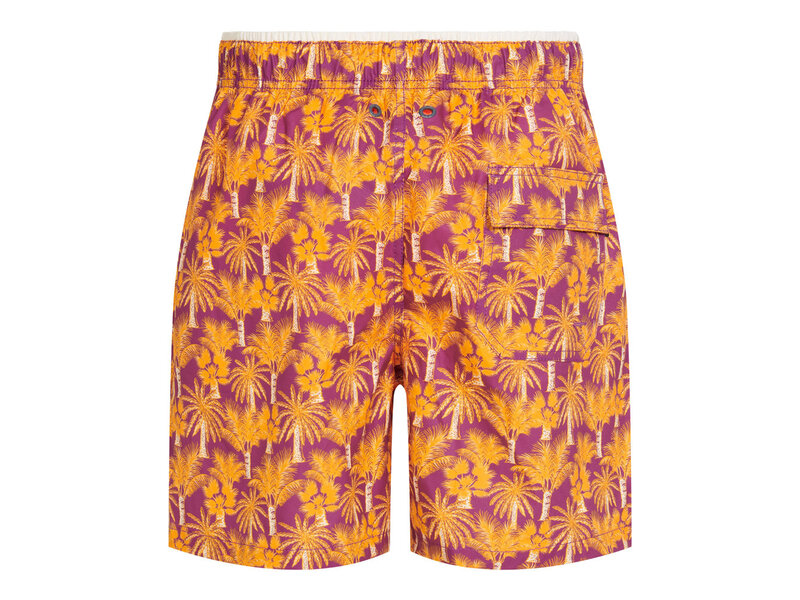 Ramatuelle Palmyra Swim shorts