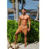 Ramatuelle Palmyra Swim shorts