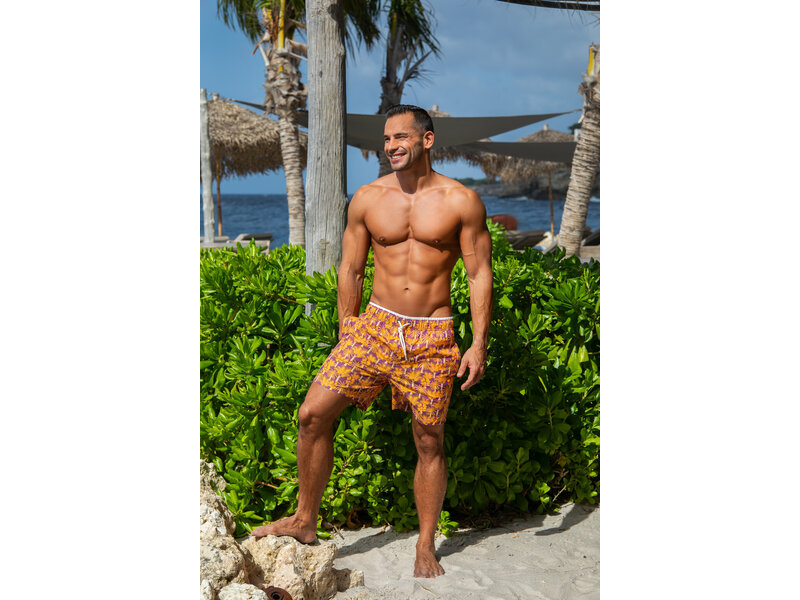 Ramatuelle Palmyra Swim shorts