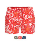 Ramatuelle Saona Swim shorts