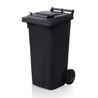 Mini-conteneur Bacs déchets en plastique 2 roues noir 120L
