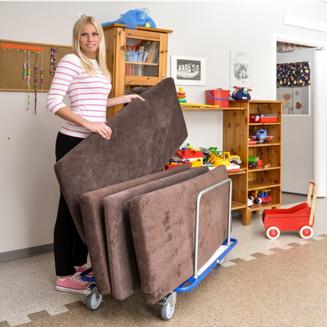 Platenwagen Lichte 100x70cm met 5 insteekhekken