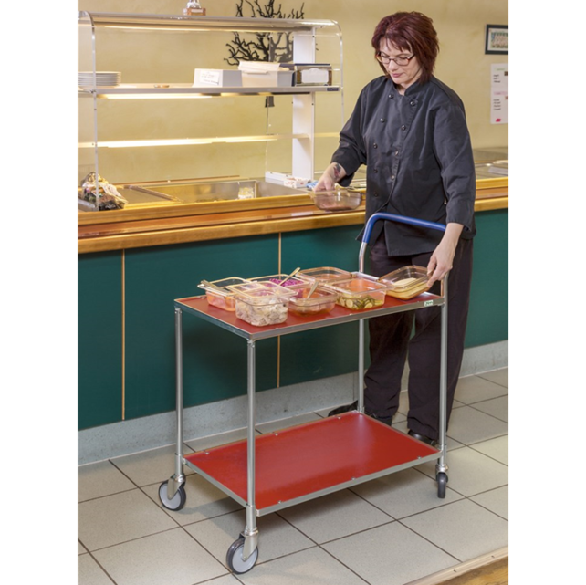 Table on wheels 850 x 435 x 950 mm with 2 shelves trolley 150Kg