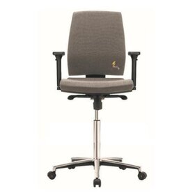 Grey ESD ergonomic work chair