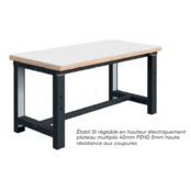 SI Workbench / Work Table, 300 kg Capacity – Electrical height adjustable