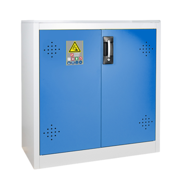 Lithium-Ionen-Batterieschrank mit 2 Türen 1025 x 980 x 540 mm