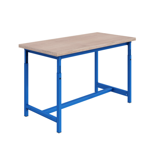 PTH Ergo Werkbank 300kg – Zware Industriële Werktafel met Verstelbaar Hoogte | Salesbridges