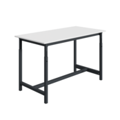 PTH Ergo Workbench 300kg – Heavy-Duty Adjustable Height Industrial Table | Salesbridges