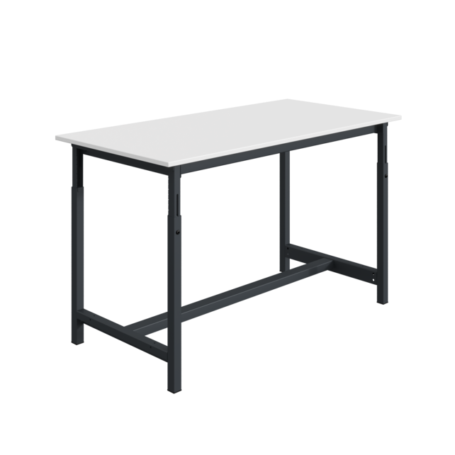 PTH Ergo Workbench 300kg – Heavy-Duty Adjustable Height Industrial Table | Salesbridges