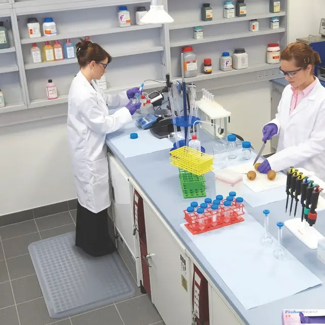 Sani-Flex™  Anti-vermoeidheidsmat voor Voedingsindustrie - Oliebestendig Nitrilrubber