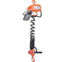 Elephant 230 V Palan Électrique à Chaîne – 250 kg – Vitesse Variable – Hauteur de levage 2,5 m