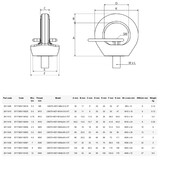 C807X+KEY Point de levage Grade 10 – rotatif 360°