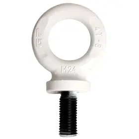 DIN 580 Ringschraube Grade 8 – hochlegierter Stahl