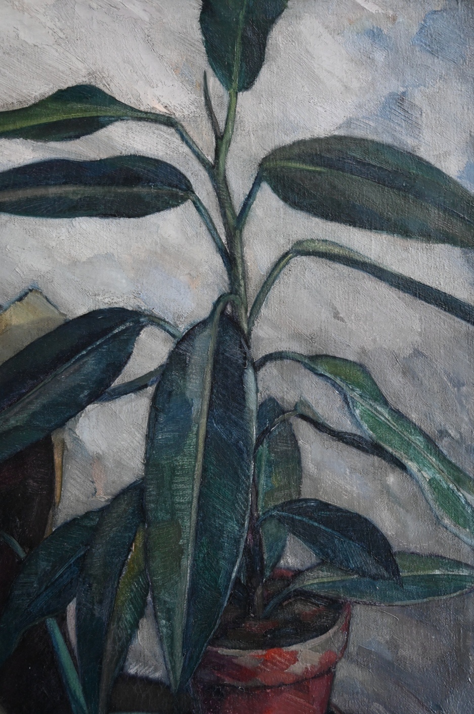 Wilhelm Morano (*1885) » Öl-Gemälde Stillleben Gummibaum Neue Sachlichkeit