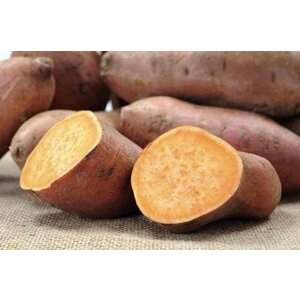 Zoete aardappelschotel met falafelballetjes (V)