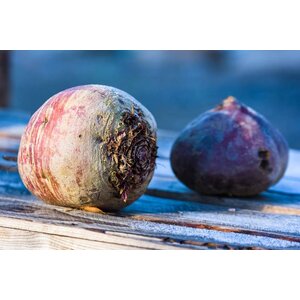Speklapje, aardappel & koolraapjes in saus