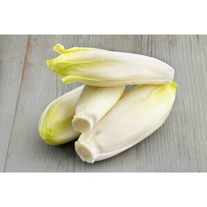 Rundervink met aardappels en witlof