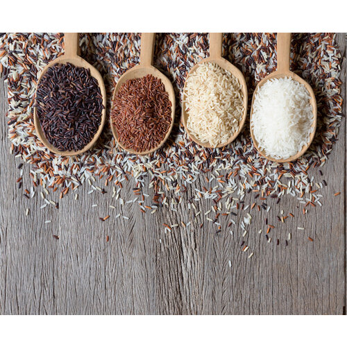 Kip tikka Masala met groenten en witte rijst