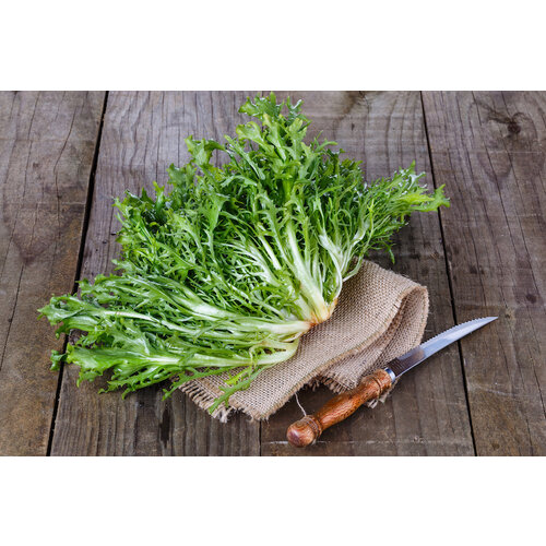 Visburger, ravigotte-saus, sla & aardappelgratin