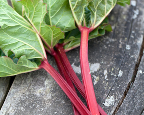 Slvavink met jus, aardappelgratin en rabarbercompote (apart verpakt)