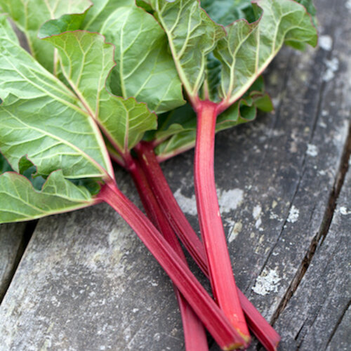 Slvavink met jus, aardappelgratin en rabarbercompote (apart verpakt)